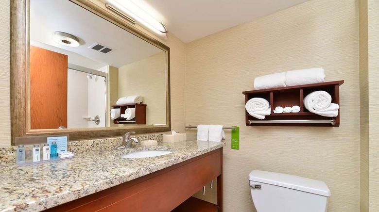 <b>Hampton Inn Detroit/Auburn Hills South Room</b>. Images powered by <a href="https://iceportal.shijigroup.com/" title="IcePortal" target="_blank">IcePortal</a>.