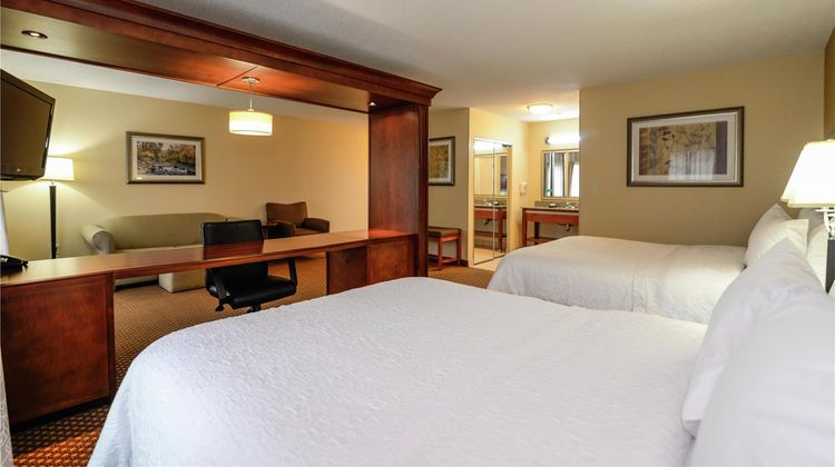 Hampton Inn & Stes Detroit/Chesterfield Room