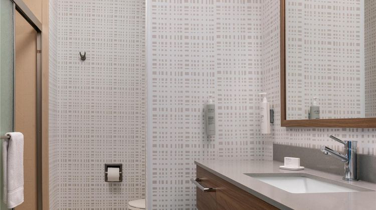 Hampton Inn Detroit/Southgate Room