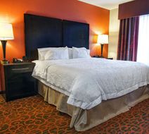 Hampton Inn & Suites - Elk City Room