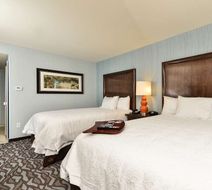 Hampton Inn Corning/Painted Post Room