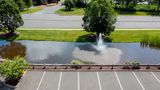 Hampton Inn Springfield South Enfield Exterior