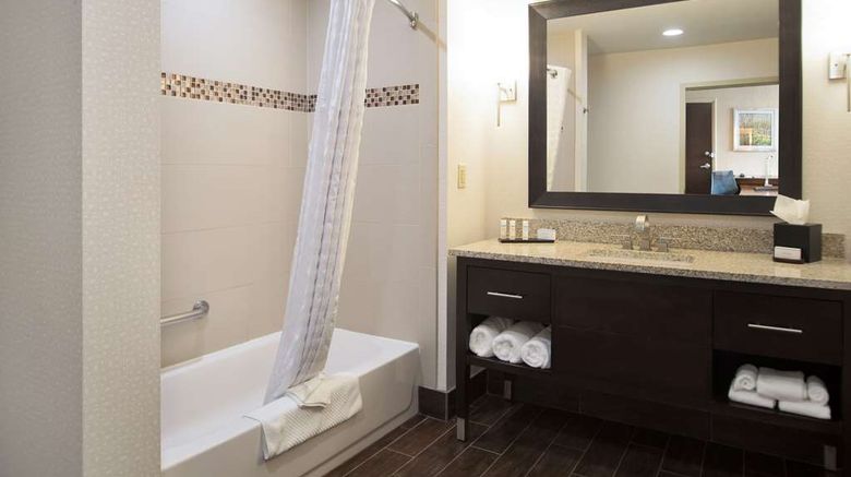 <b>Embassy Suites Fayetteville Fort Liberty Room</b>. Images powered by <a href="https://iceportal.shijigroup.com/" title="IcePortal" target="_blank">IcePortal</a>.