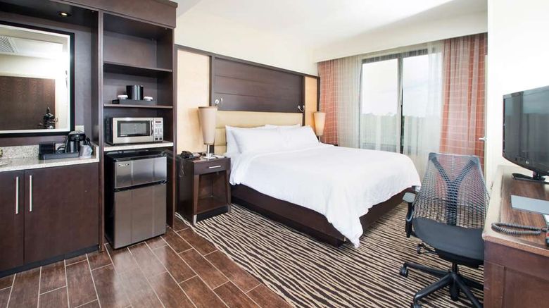 <b>Embassy Suites Fayetteville Fort Liberty Room</b>. Images powered by <a href="https://iceportal.shijigroup.com/" title="IcePortal" target="_blank">IcePortal</a>.