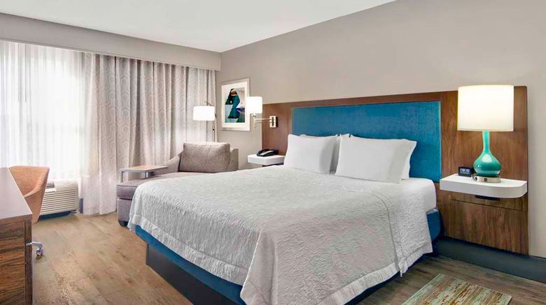 <b>Hampton Inn Airport North-Cruise Port Room</b>. Images powered by <a href="https://iceportal.shijigroup.com/" title="IcePortal" target="_blank">IcePortal</a>.