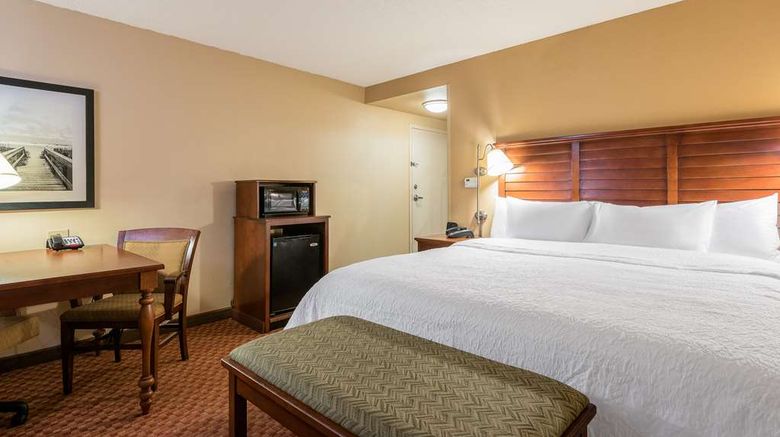 <b>Hampton Inn & Suites-Florence North I-95 Room</b>. Images powered by <a href="https://iceportal.shijigroup.com/" title="IcePortal" target="_blank">IcePortal</a>.