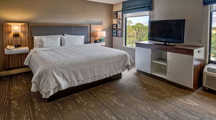 Hampton Inn & Suites Fort Myers-Estero Other