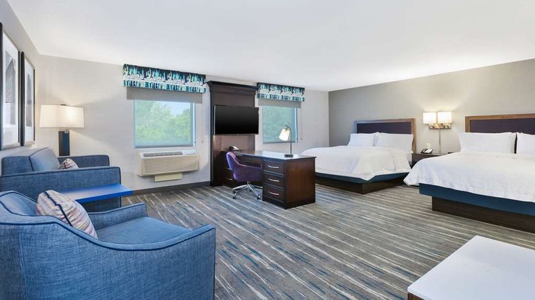 <b>Hampton Inn & Suites Flint/Grand Blanc Room</b>. Images powered by <a href="https://iceportal.shijigroup.com/" title="IcePortal" target="_blank">IcePortal</a>.