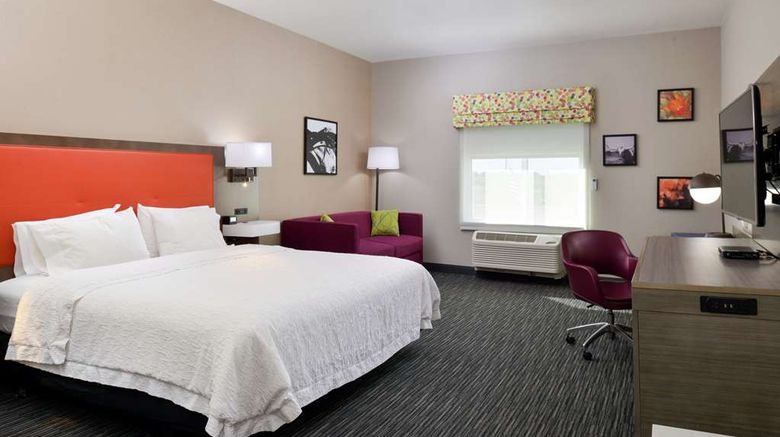 <b>Hampton Inn Fort Stockton Room</b>. Images powered by <a href="https://iceportal.shijigroup.com/" title="IcePortal" target="_blank">IcePortal</a>.