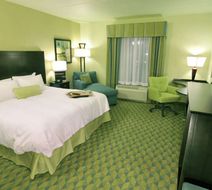 Hampton Inn Gadsden / Attalla Room