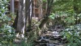 Hampton Inn Gatlinburg Exterior