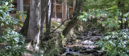 Hampton Inn Gatlinburg Exterior