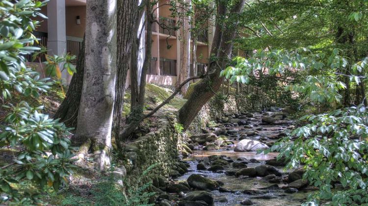 Hampton Inn Gatlinburg Exterior