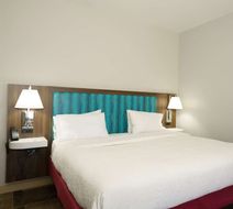 Hampton Inn Garden City Room