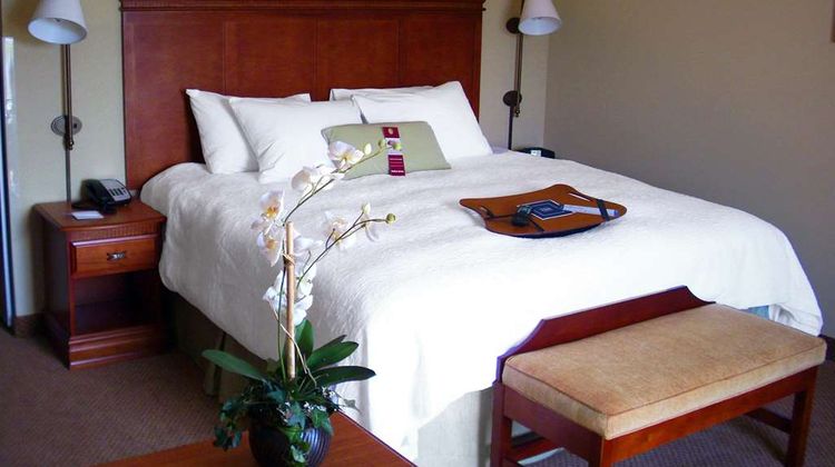 Hampton Inn Greenville Room