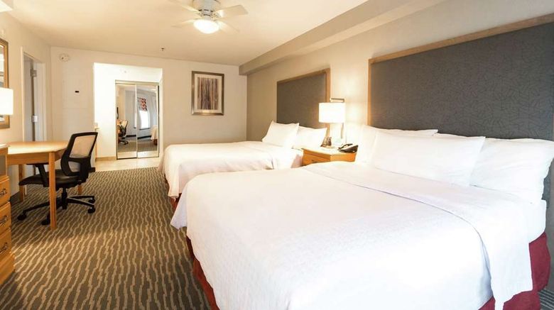 <b>Homewood Suites by Hilton Greenville Room</b>. Images powered by <a href="https://iceportal.shijigroup.com/" title="IcePortal" target="_blank">IcePortal</a>.