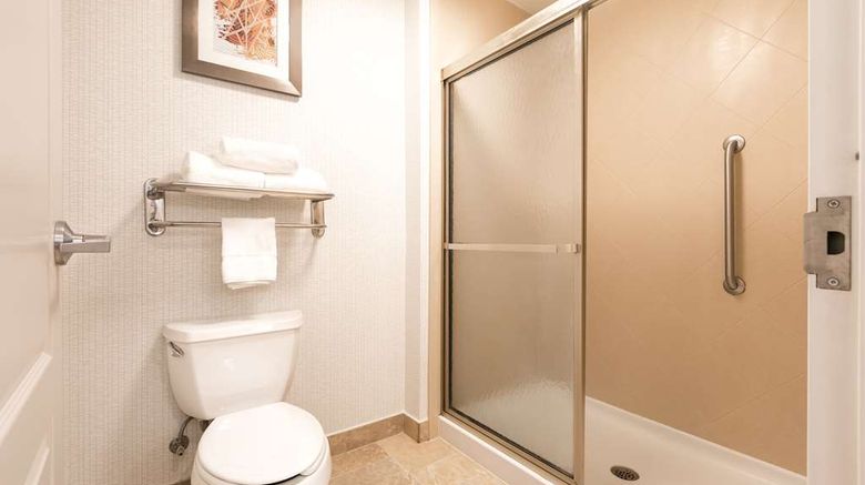 <b>Homewood Suites by Hilton Greenville Room</b>. Images powered by <a href="https://iceportal.shijigroup.com/" title="IcePortal" target="_blank">IcePortal</a>.