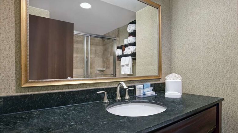 <b>Hampton Inn Greenville I-385 Woodruff Rd Room</b>. Images powered by <a href="https://iceportal.shijigroup.com/" title="IcePortal" target="_blank">IcePortal</a>.