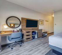 Hampton Inn & Suites Gainesville Room