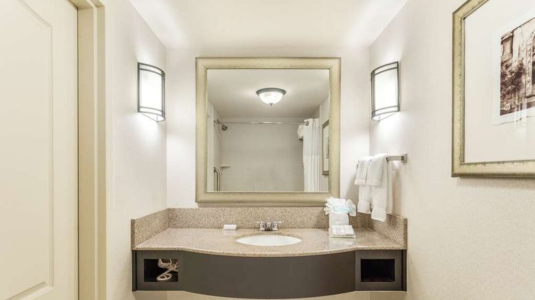 <b>Hilton Garden Inn Gainesville Room</b>. Images powered by <a href="https://iceportal.shijigroup.com/" title="IcePortal" target="_blank">IcePortal</a>.