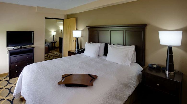<b>Hampton Inn Harrisburg Room</b>. Images powered by <a href="https://iceportal.shijigroup.com/" title="IcePortal" target="_blank">IcePortal</a>.