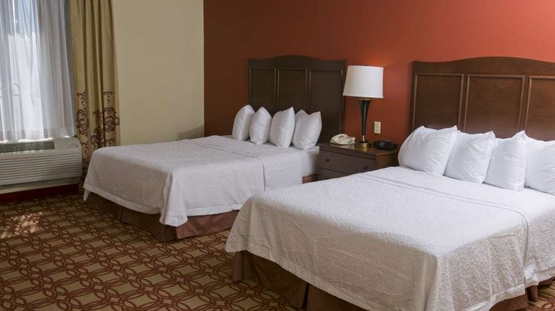<b>Hampton Inn & Suites Wiggins Room</b>. Images powered by <a href="https://iceportal.shijigroup.com/" title="IcePortal" target="_blank">IcePortal</a>.