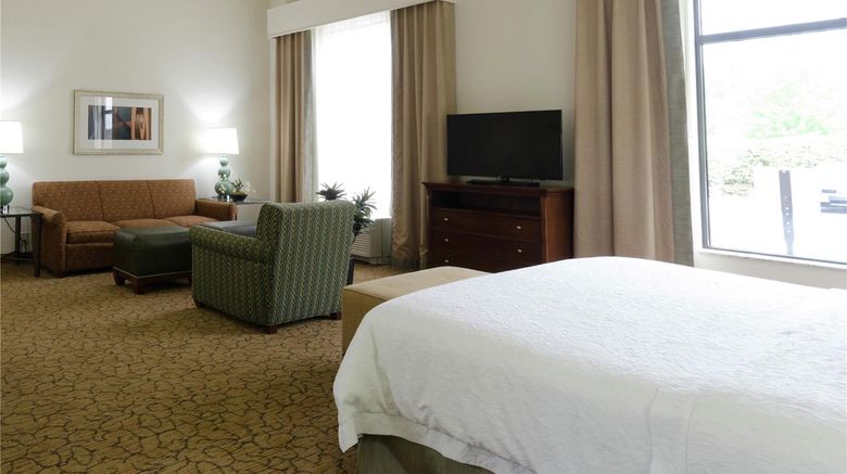 <b>Hampton Inn Other</b>. Images powered by <a href="https://iceportal.shijigroup.com/" title="IcePortal" target="_blank">IcePortal</a>.