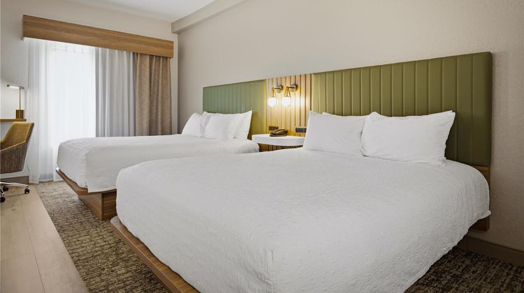 Hampton Inn Room