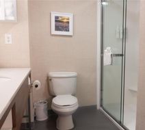 Hampton Inn & Suites Houston-Katy Room