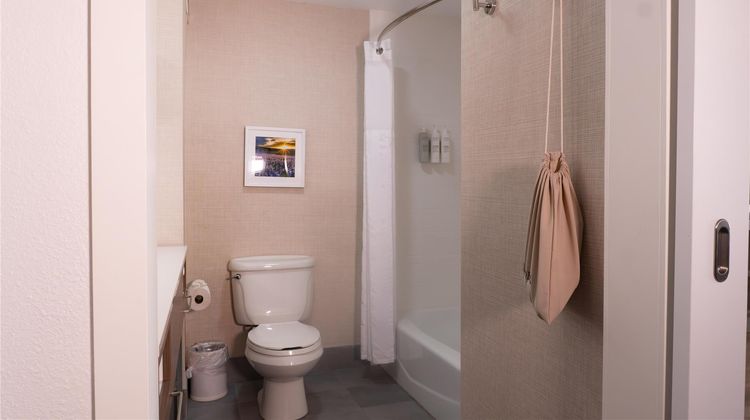 Hampton Inn & Suites Houston-Katy Room