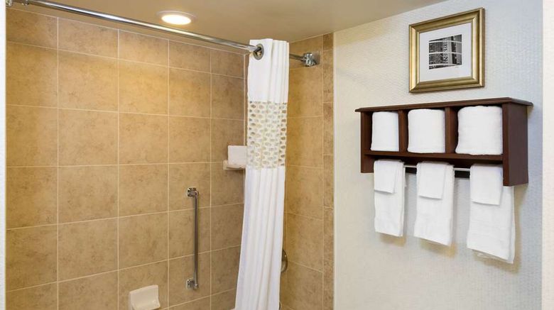 <b>Hampton Inn Houston-Near the Galleria Room</b>. Images powered by <a href="https://iceportal.shijigroup.com/" title="IcePortal" target="_blank">IcePortal</a>.