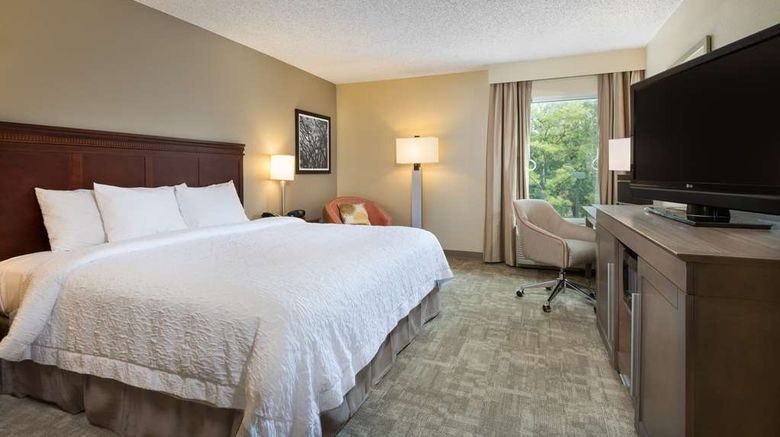 <b>Hampton Inn Houston-Near the Galleria Room</b>. Images powered by <a href="https://iceportal.shijigroup.com/" title="IcePortal" target="_blank">IcePortal</a>.