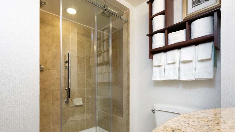 <b>Hampton Inn Houston-Near the Galleria Room</b>. Images powered by <a href="https://iceportal.shijigroup.com/" title="IcePortal" target="_blank">IcePortal</a>.