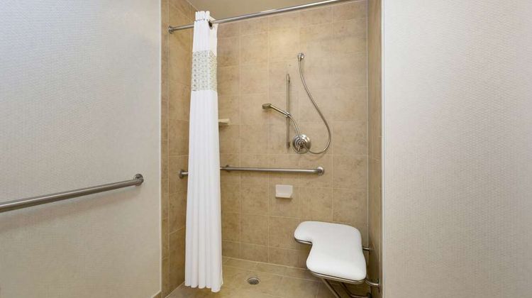 Hampton Inn Houston-Near the Galleria Room
