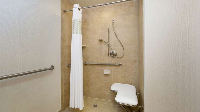 <b>Hampton Inn Houston-Near the Galleria Room</b>. Images powered by <a href="https://iceportal.shijigroup.com/" title="IcePortal" target="_blank">IcePortal</a>.