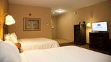 Hampton Inn & Suites Rosenberg Other