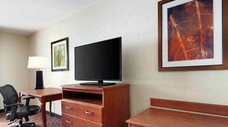 Hampton Inn Stafford Room