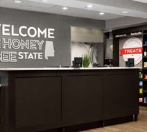 Hampton Inn Huntsville/Research Park Lobby
