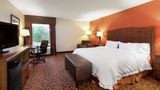 <b>Hampton Inn Houma Room</b>. Images powered by <a href="https://iceportal.shijigroup.com/" title="IcePortal" target="_blank">IcePortal</a>.