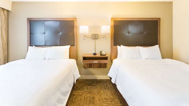 <b>Hampton Inn Havelock Room</b>. Images powered by <a href="https://iceportal.shijigroup.com/" title="IcePortal" target="_blank">IcePortal</a>.