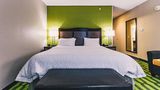 Hampton Inn & Suites Niagara Falls/Arpt Room