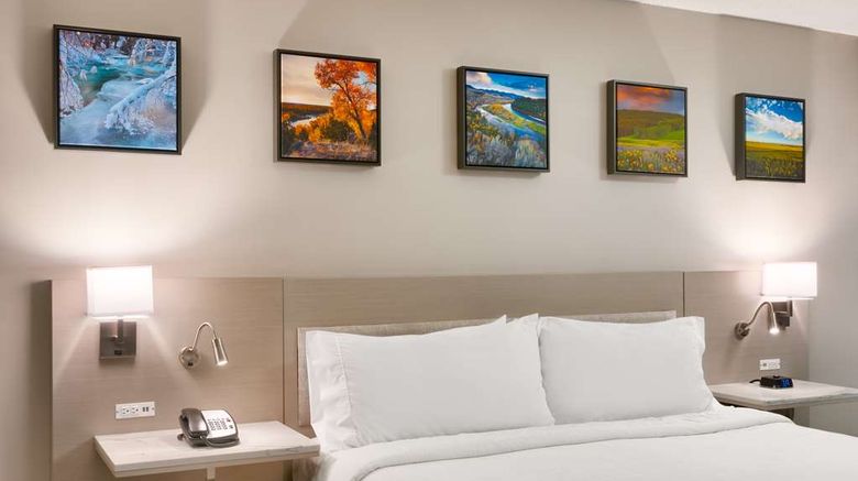 <b>Hilton Garden Inn Idaho Falls Room</b>. Images powered by <a href="https://iceportal.shijigroup.com/" title="IcePortal" target="_blank">IcePortal</a>.