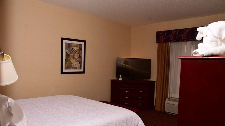 <b>Hampton Inn Room</b>. Images powered by <a href="https://iceportal.shijigroup.com/" title="IcePortal" target="_blank">IcePortal</a>.