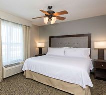 Homewood Suites Indianapolis NW Room