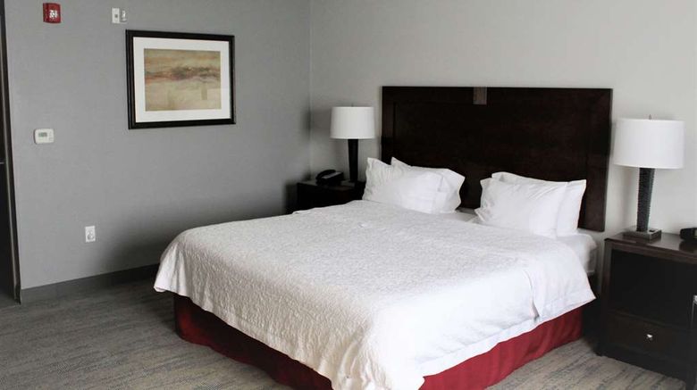<b>Hampton Inn Indianapolis/Zionsville Room</b>. Images powered by <a href="https://iceportal.shijigroup.com/" title="IcePortal" target="_blank">IcePortal</a>.