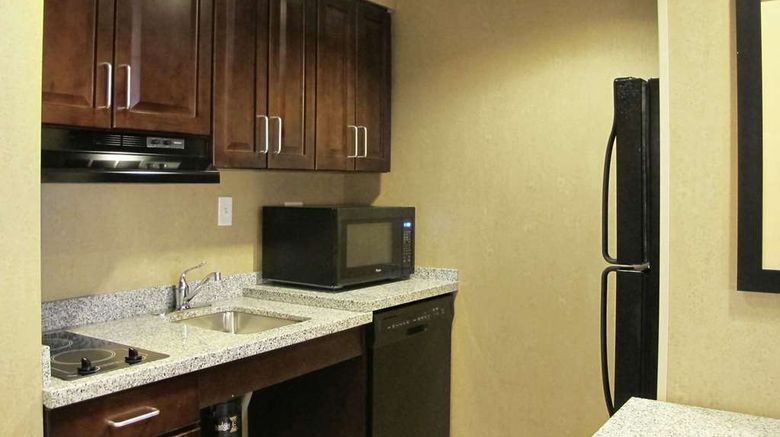 <b>Homewood Suites Coralville Other</b>. Images powered by <a href="https://iceportal.shijigroup.com/" title="IcePortal" target="_blank">IcePortal</a>.