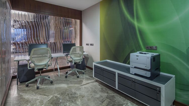 Hilton Garden Inn Istanbul Airport Other
