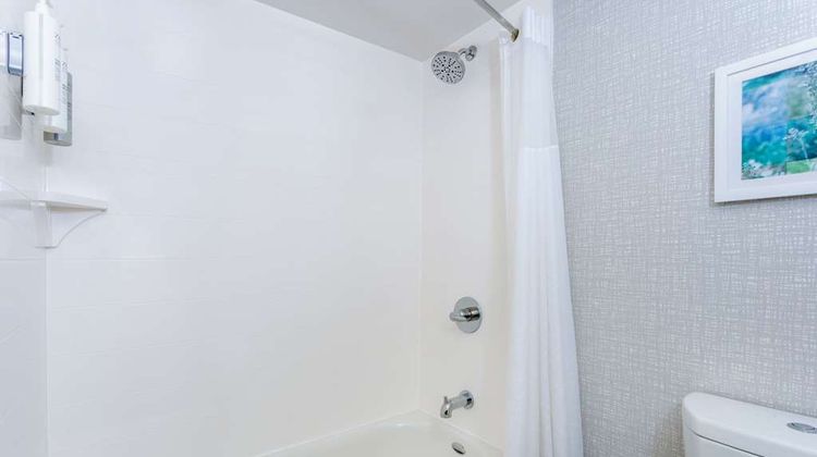 Hampton Inn Jacksonville I-95 Central Room