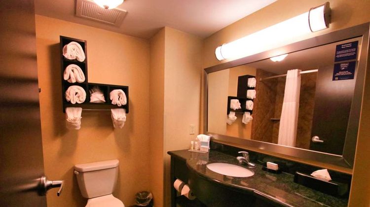 Hampton Inn & Suites Jacksonville Room