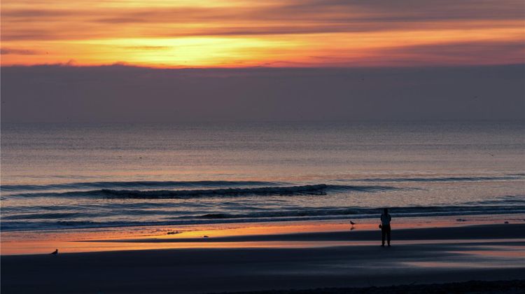 Hampton Inn Jacksonville Beach/Oceanfron Exterior
